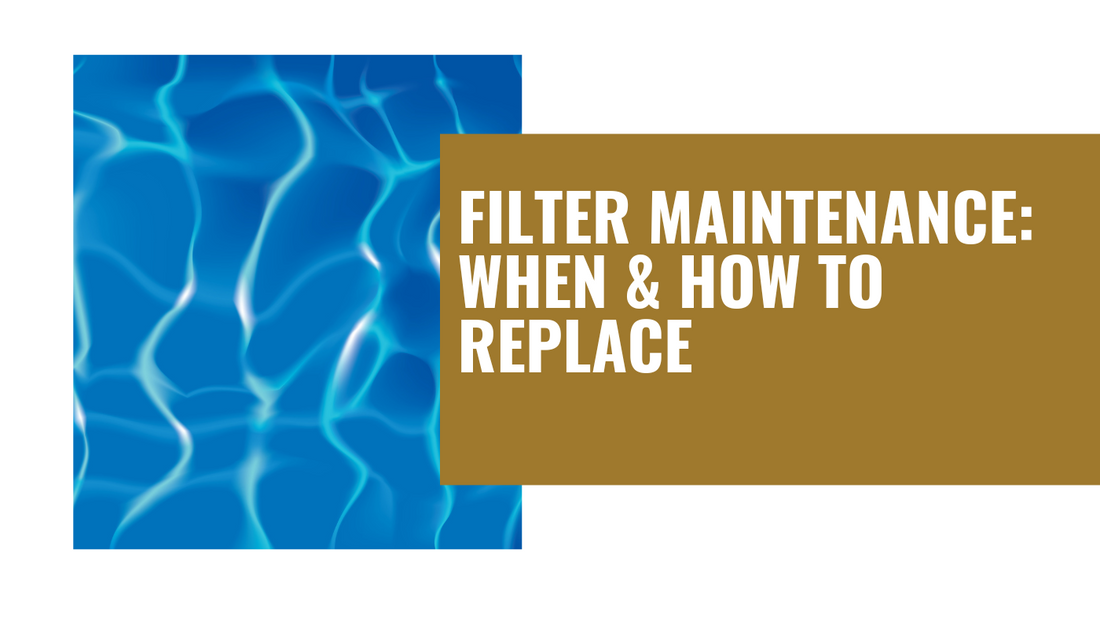 Filter Maintenance: When & How to Replace