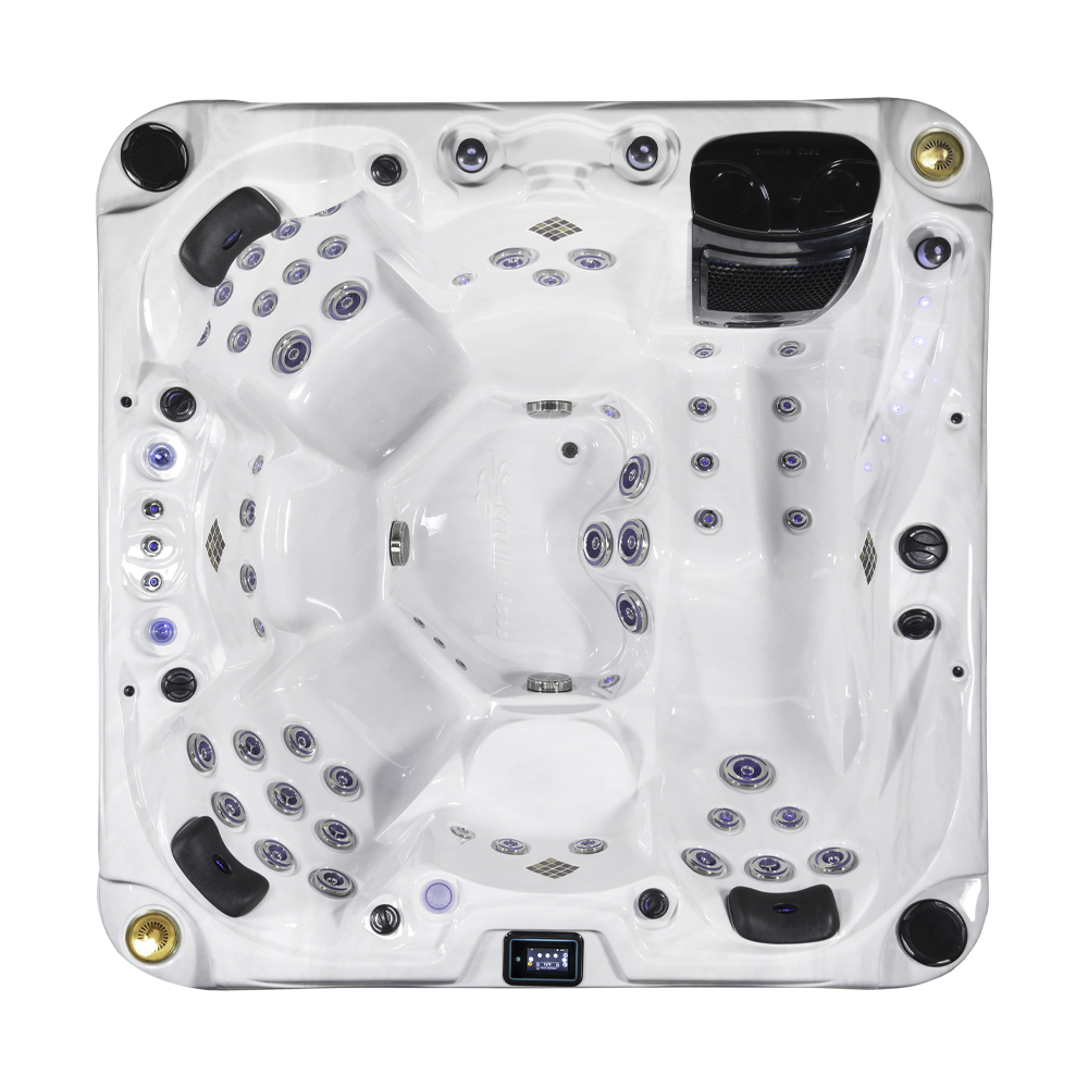 Catalina Spas Aurora Hot Tub